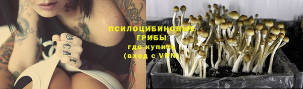 винт Беломорск